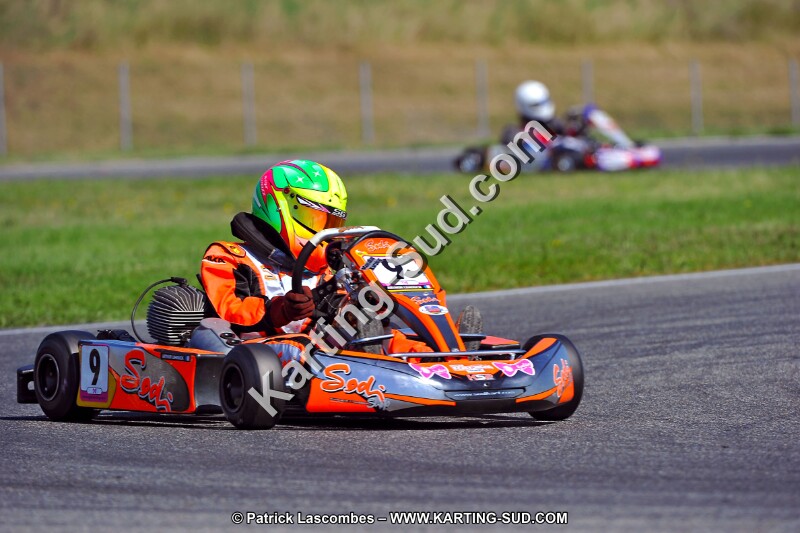 DSC_ (1284).jpg